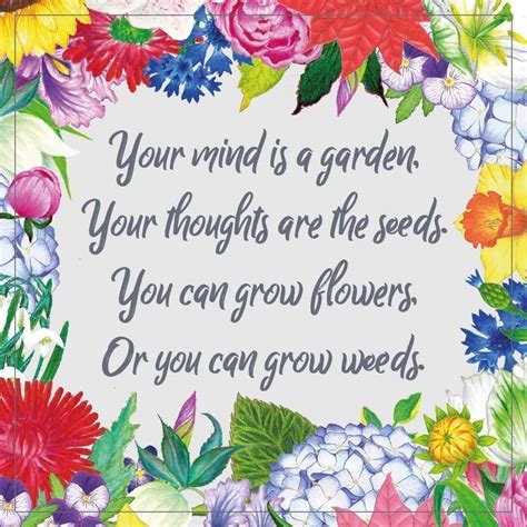 Like most mint plants, i recommend growing it in pots or raised garden beds. Your mind is a garden. Your thoughts are the seeds ...