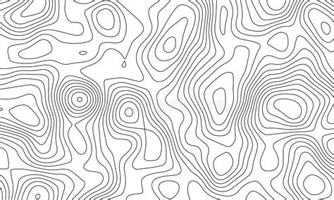 Topographic Line Map Patterns Black Contour And Textured Background Of