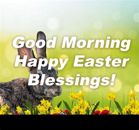 Rabbit Hare Good Morning Happy Easter Blessings Pictures Photos And