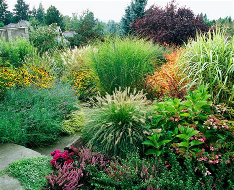 15 Beautiful Ways To Use Ornamental Grasses In Your Landscape
