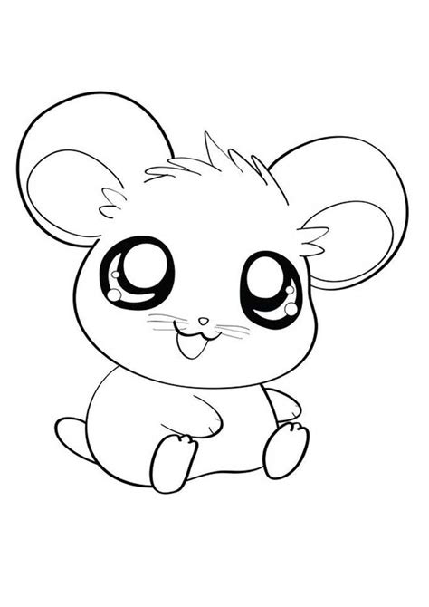 Desenhos De Hamster Para Imprimir E Colorir Pintar