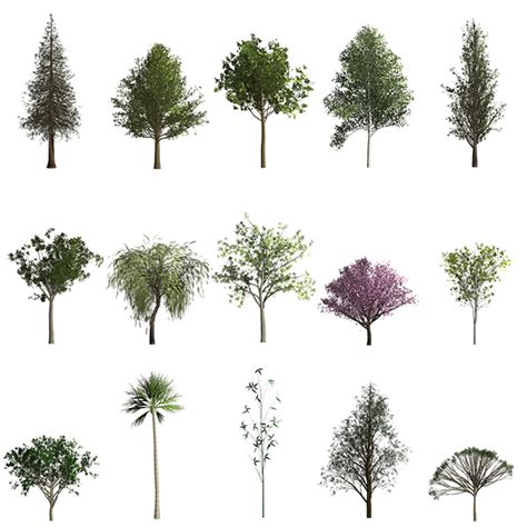 Julieanne Kosts Blog Creating Trees In Photoshop