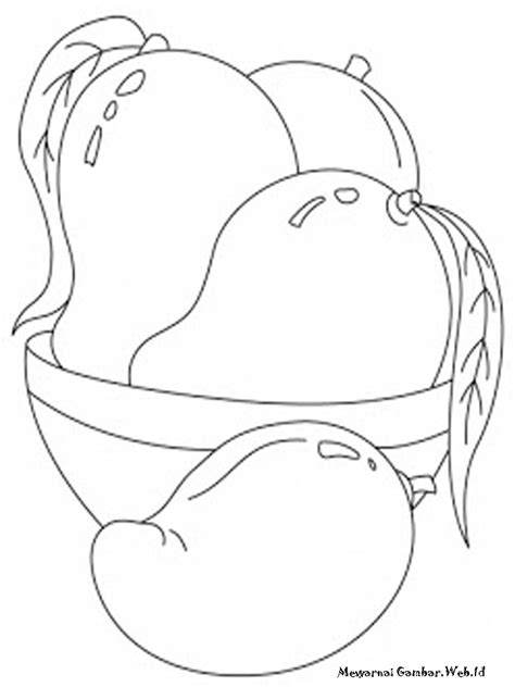 48 Inspirasi Terbaru Mewarnai Gambar Biji Buah Mangga