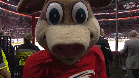 #andrei svechnikov #carolina hurricanes #hockeygif #mine #m; Hockey Nhl GIF by Carolina Hurricanes - Find & Share on GIPHY