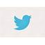 Twitters New Bird Logo Takes Flight  The Verge