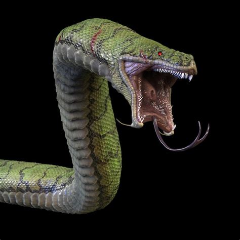 Premium Photo A Big Evil Toothy Snake 3d Rendering