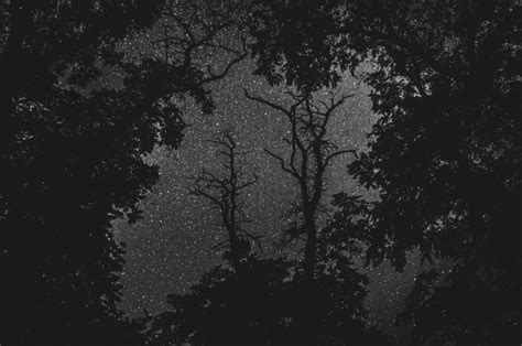 Night Sky Photos In The Style Of 19th Century Pictorialism Petapixel