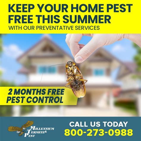 don t let pests interrupt your summer fun instead call millennium termite and pest for 2