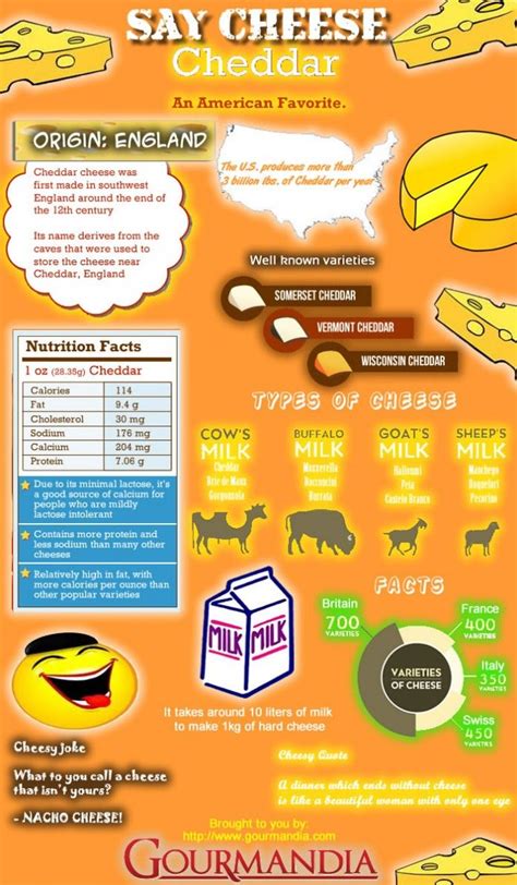 Cheddar Cheese Facts Infographic Cheddar Cheese Food Infographic