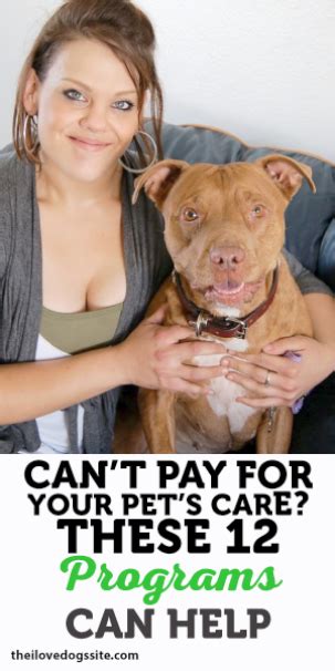 Vip pet care service retweeted. Breathtaking... Buy Pet Dogs Near Me #marvelous | Pet care ...