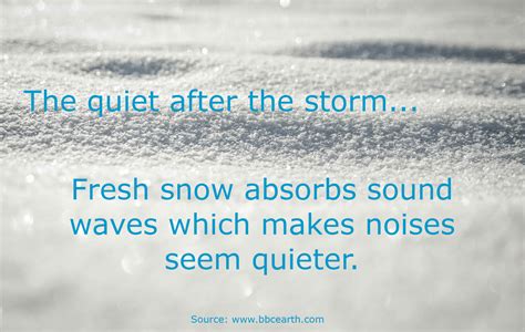 10 Random Facts About Snow