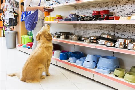 Running Your Own Online Ecommerce Pet Store Startup Guide