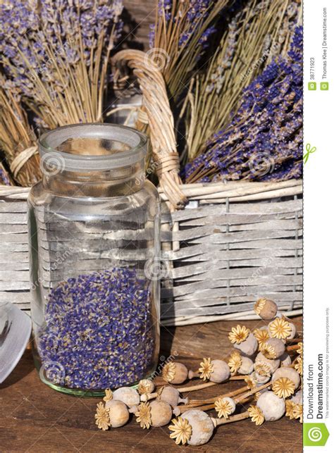 Storage Jar Dried Lavender Blossoms Stock Image Image Of Bunch