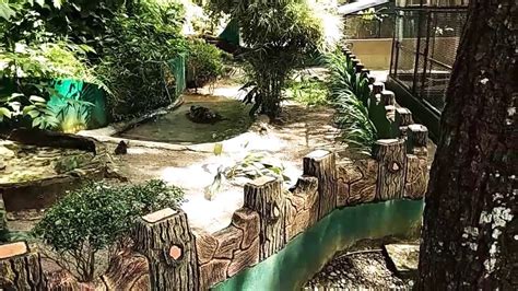 Liburan di Siantar Zoo - YouTube