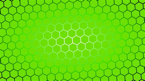 27 Lime Green Wallpapers Wallpaperboat