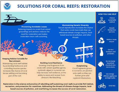 Noaas Coral Reef Conservation Program Crcp Solutions For Coral