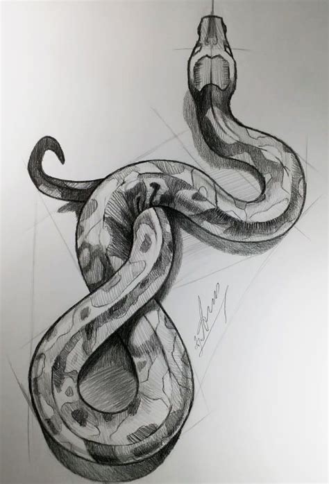Snake Art Snake Drawing Snake Art Cool Art Drawings