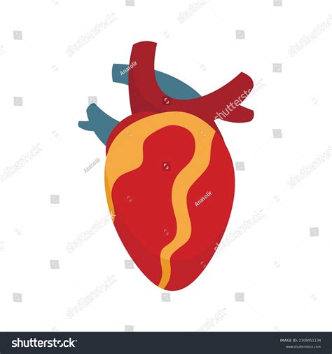 Anatomy Human Heart Icon Flat Illustration Stock Vector Royalty Free