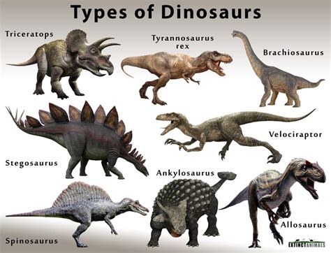 Espécies De Dinossauros Nomes SOLOLEARN
