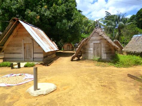 Welke voorbereiding is er in nederland en wat verhuizen naar suriname zelf verhuizen of door een verhuisbedrijf om te verhuizen naar. Reisebericht Suriname | My Travelworld
