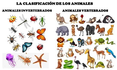 Animales Vertebrados E Invertebrados Create Webquest