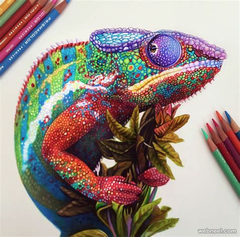 For more check out his tumblr, instagram, and stay update by following his twitter. Chameleon Color Pencil Drawing By Morgan Davidson 2