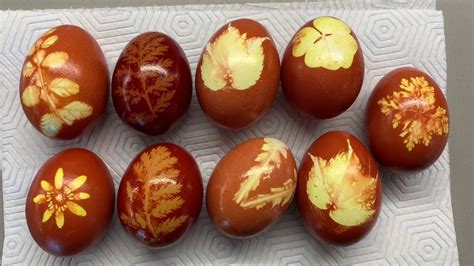 Eier färben mit Zwiebelschalen -