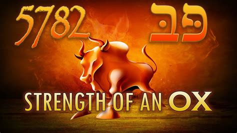 Strength Of An Ox 5781 To 5782 Hebrew Calendar Live Youtube