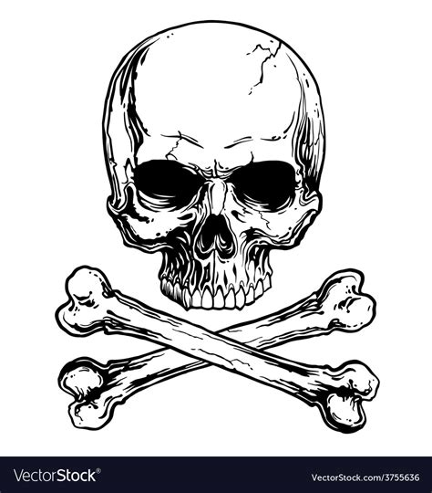 Skull And Crossbones Logo 10 Free Cliparts Download Images On