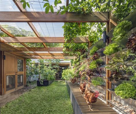 Photo 5 Of 9 In A Sustainable Home Near Sydney Boasts Chicken Coops