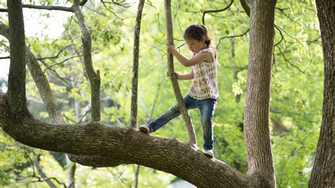 She is trying to do the same thing with you. Science Says: Let Your Kids Take Risks While Playing. It's ...