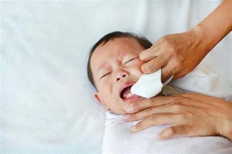 Use a little toothpaste and apply gentle pressure before rinsing with water. if you feel you need to be more thorough (perhaps you've eaten sticky foods or consumed red. Mother Use Finger To Clean Tongue And Baby's Teeth With ...