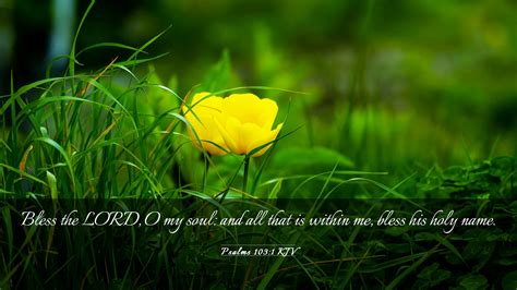 Psalms 1031 Kjv Desktop Wallpaper Bless The Lord O My Soul And All