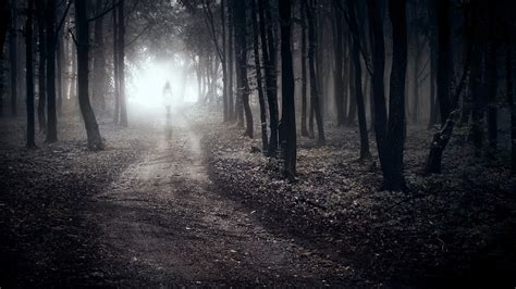 Wallpaper Girl Walking Alone In Forest Path Lonely Sad 1920x1080