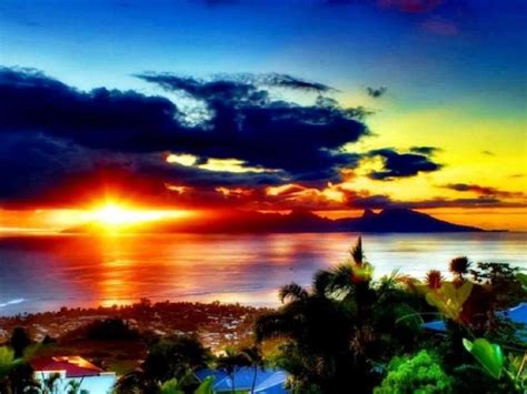 Tropical Sunset Wallpaper For Ipad And Galaxy Tab Tablet Ipad 45