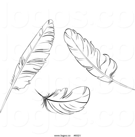 Feathers Clipart Black And White 10 Free Cliparts Download Images On