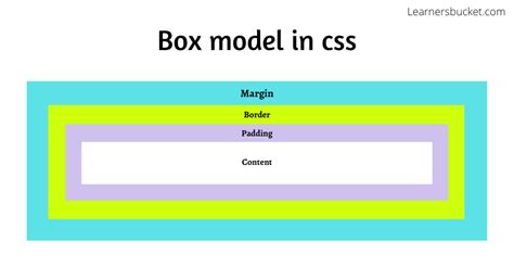 Explained Box Model In Css Learnersbucket