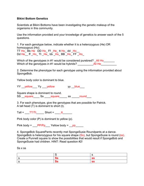 Which of the genotypes in 1 would be hybrids. 27 Bikini Bottom Genetics Worksheet Answer Key ...
