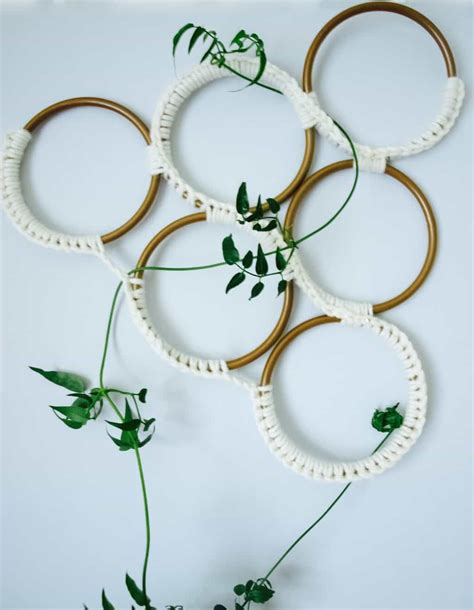 Hardy in usda plant hardiness. Growing jasmine indoors + macrame style trellis diy ...