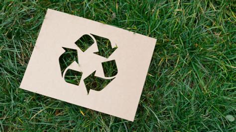 What Is Recyclable Packaging Packoi