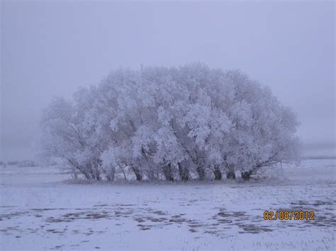 Winter Scenery In North Dakota