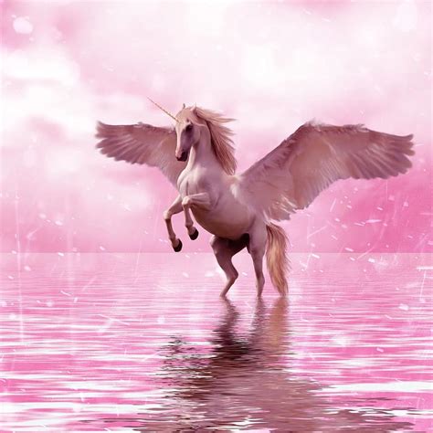 Fantasy Design Magic Fairy Tale Unicorn Horse Pink Water Animal