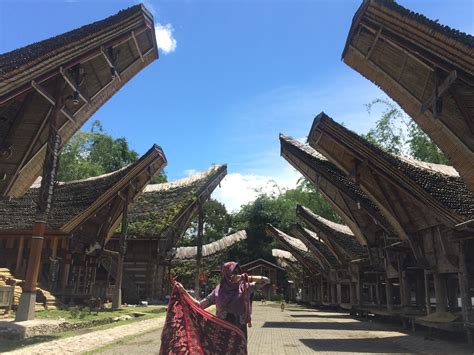 √toraja Adventure 5 Tempat Wisata Toraja