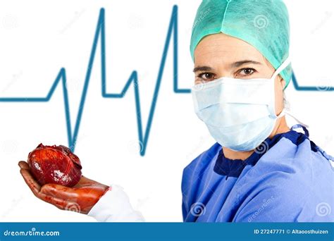 Female Surgeon With Heart Stock Image Image Of Doctor 27247771
