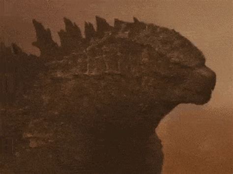 The latest tweets from godzilla vs. Godzilla Vs. King Kong. How It Really Was... (GIF) - Izismile.com