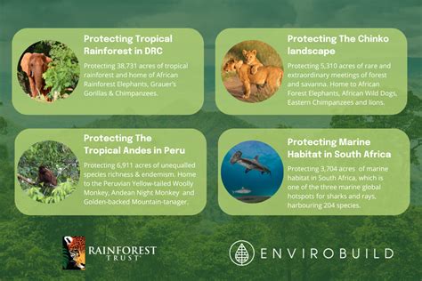 Envirobuild Joins Forces With Rainforest Trust Uk