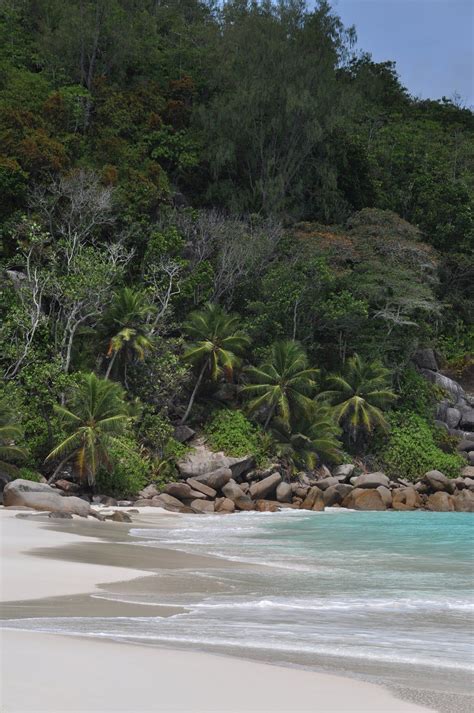 Anse Georgette Praslin Island Seychelles Indian Ocean Beach