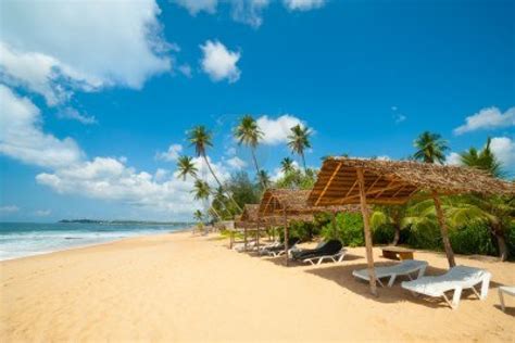 14148249 Tropical Beach In Sri Lanka Sri Lanka Tour Packages
