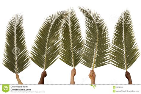 Pngtree has millions of free png, vectors and psd graphic resources for designers.| Palmzondag Stock Fotografie - Beeld: 15246982