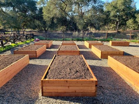 How To Fill Raised Garden Beds With Organic Soil Homestead And Chill